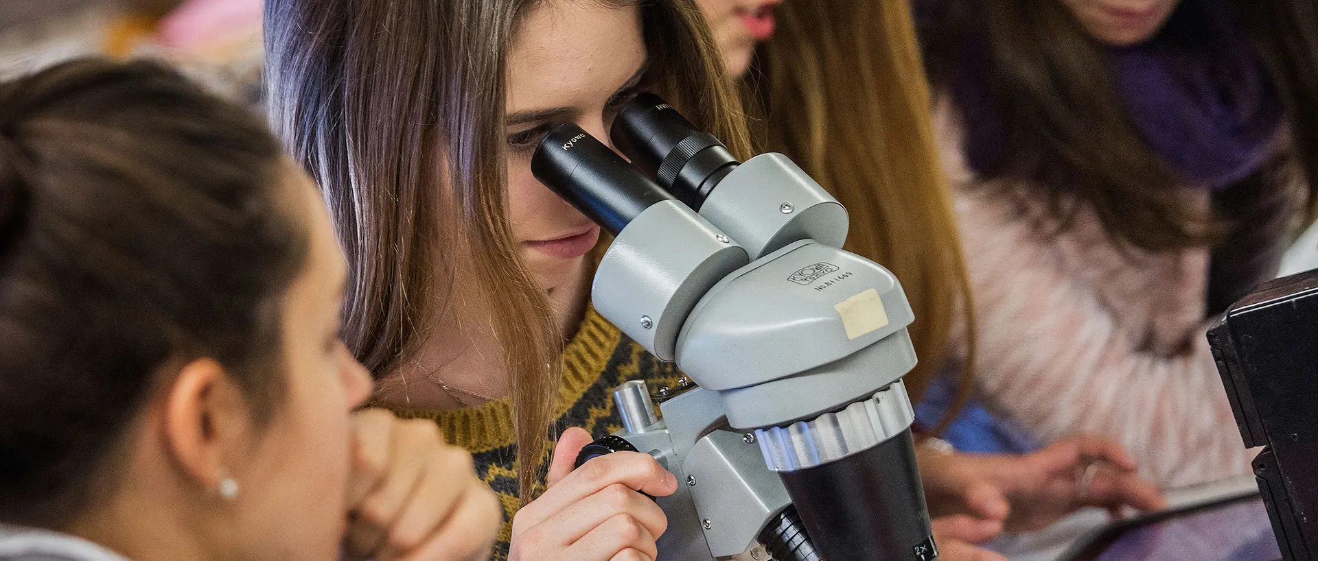 Una estudiante mira por un microscopio estereoscópico en un laboratorio, rodeada de compañeras que observan y consultan una tableta.